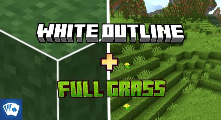 WHITE OUTLINE + FULL GRASS